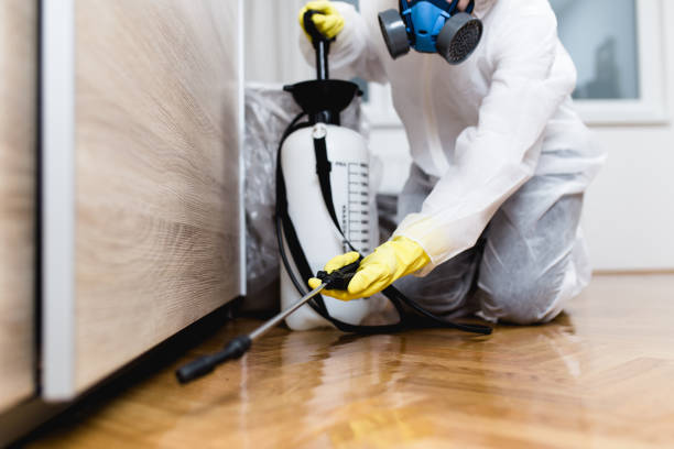 Best Pest Removal Services  in Larimore, ND