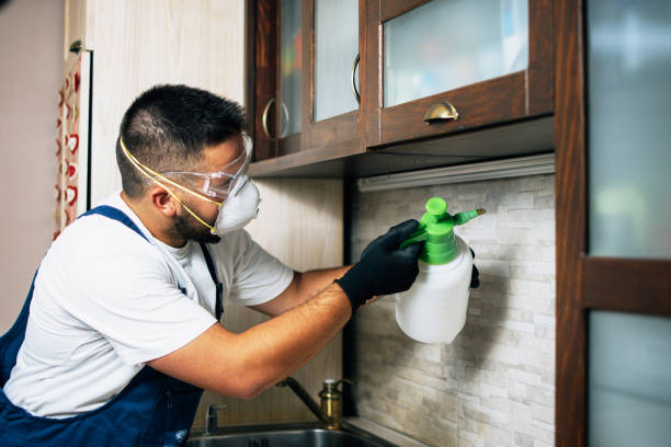 Best Best Pest Control Companies  in Larimore, ND