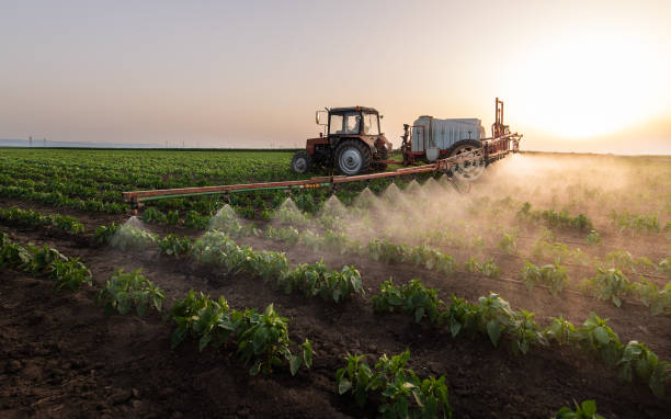 Best Insect Control  in Larimore, ND