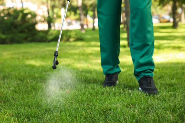 Best Flea Control Services  in Larimore, ND