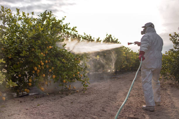 Best Mosquito Control Services  in Larimore, ND