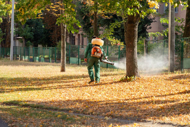 Best Wasp Removal Services  in Larimore, ND