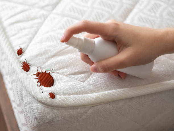 Best Ant Control Services  in Larimore, ND