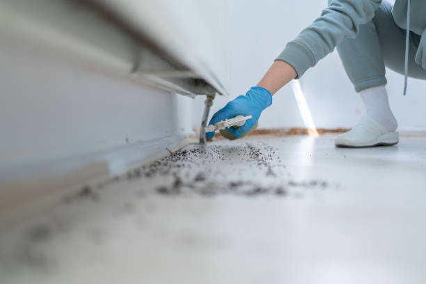 Best Affordable Pest Control Services  in Larimore, ND